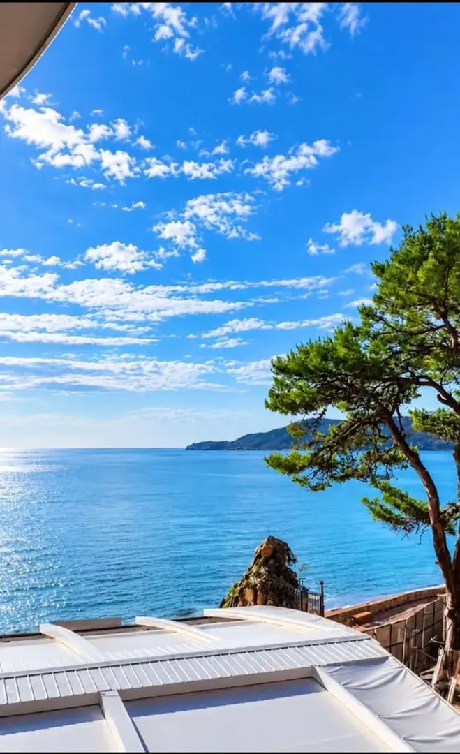 Sea view from the terrace with a tree and coastline in the background.