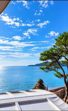 Sea view from the terrace with a tree and coastline in the background. - image 2