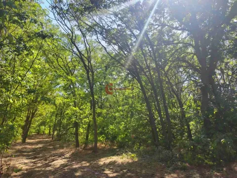 Prodaja, plac, 7216m², Kelebija, Subotica - image 3