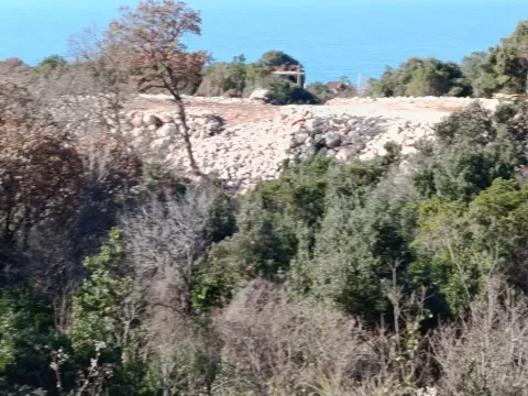 Sale, land lot, 100076m², Kunje, Bar - image 3