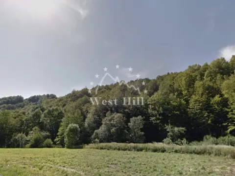 Prodaja, plac, 140000m², Kolašin, Crna Gora - image 5