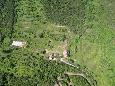 Prodaja, plac, 83000m², Radanovići, Kotor - image 8