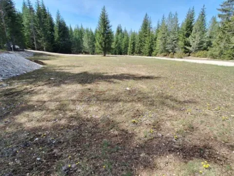 Prodaja, plac, 6750m², Podgora, Žabljak - image 10