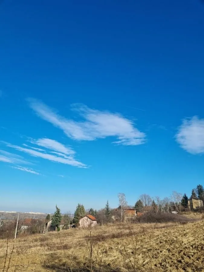 Prodaja, plac, 7627m², Ledinci, Petrovaradin