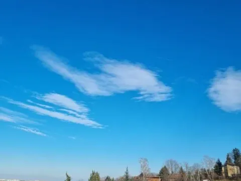 Sale, land lot, 7600m², Ledinci, Petrovaradin - image 3