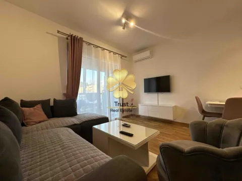 Izdavanje, garsonjera, 30m², Ljubović, Podgorica - image 3