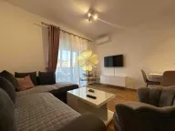 Izdavanje, garsonjera, 30m², Ljubović, Podgorica - image 3