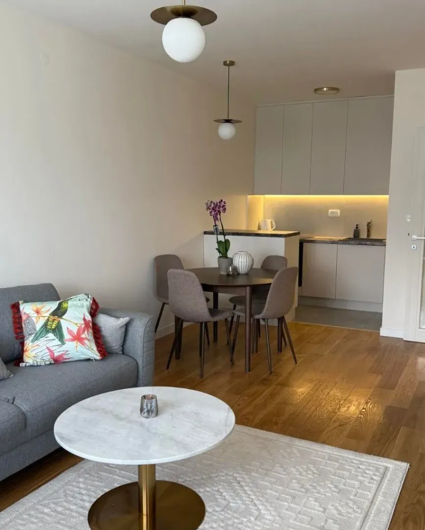 Izdavanje, jednosoban stan, 49m², Central Point, Podgorica