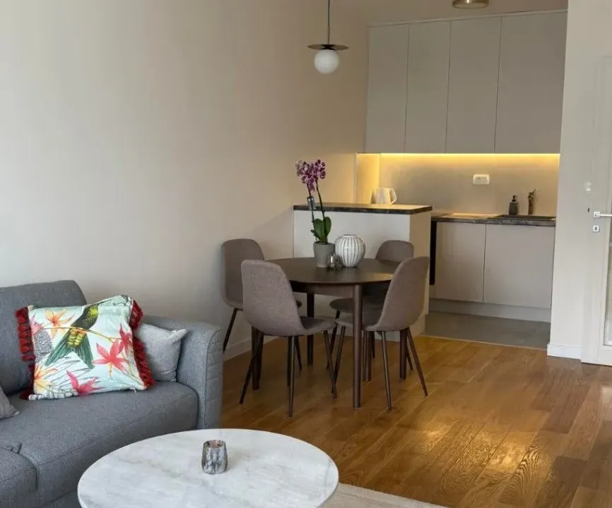 Izdavanje, jednosoban stan, 49m², Central Point, Podgorica