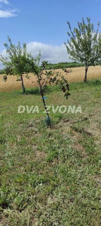 Prodaja, plac, 6800m², Stari Slankamen, Inđija
