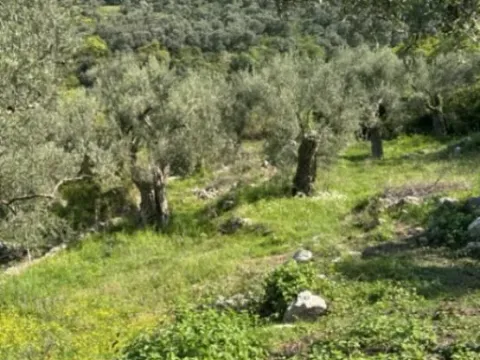 Sale, land lot, 1560m², Bartula, Bar - image 5