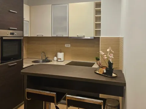 Rent, one bedroom apartment, 43m², Tološka šuma, Podgorica - image 2