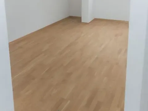 Rent, one bedroom apartment, 40m², Ljubović, Podgorica