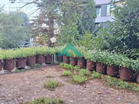 Izdavanje, kuća, 80m², Voždovac Sve Podlokacije, Beograd - image 19