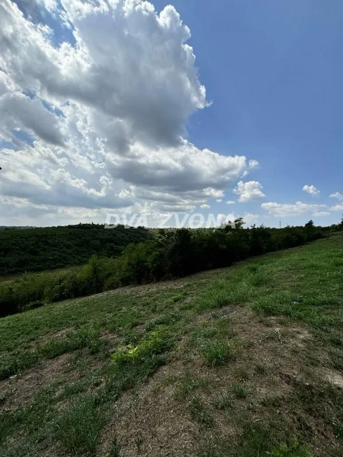 Prodaja, plac, 2500m², Čortanovci, Inđija