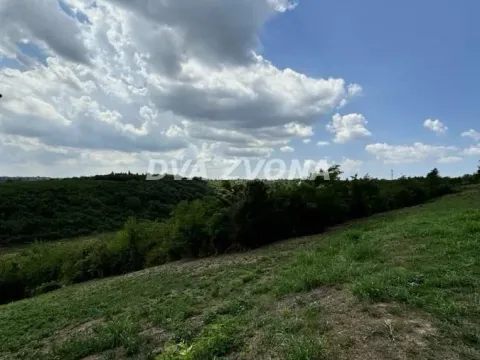 Prodaja, plac, 2500m², Čortanovci, Inđija - image 6