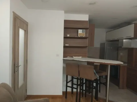 Stan-na-dan, jednosoban stan, 43m², Ljubović, Podgorica - image 3