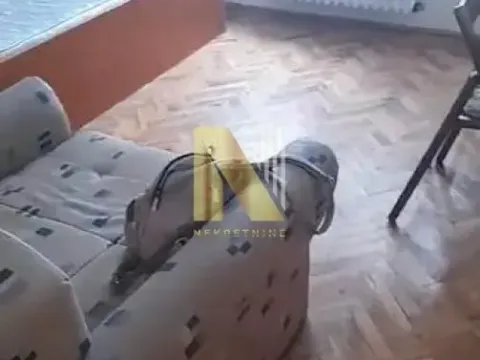 Izdavanje, garsonjera, 17m², Liman 3, Novi Sad Sve Podlokacije - image 3