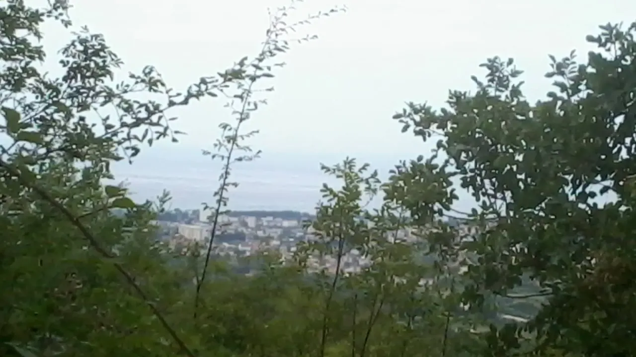 Prodaja, plac, 21000m², Bar, Crna Gora