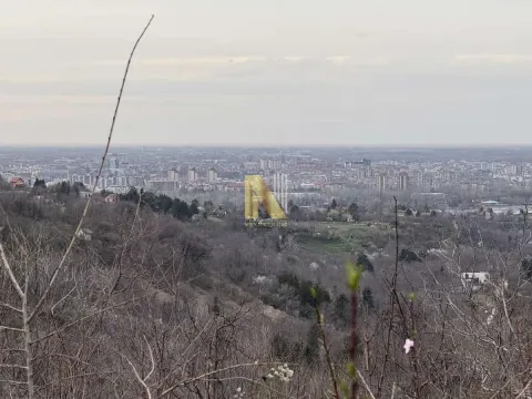 Prodaja, plac, 1000m², Sremska Kamenica, Petrovaradin - image 3