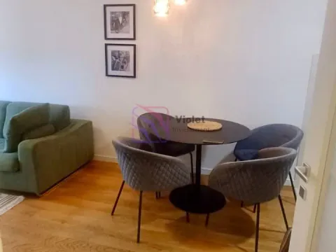 Izdavanje, jednosoban stan, 49m², Central Point, Podgorica - image 8