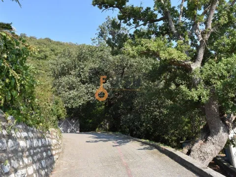 Sale, house, 480m², Budva, Crna Gora - image 3