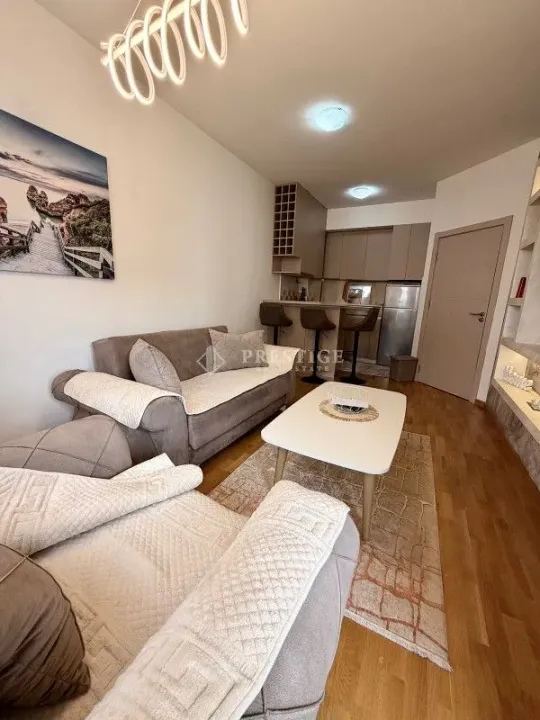 Rent, one bedroom apartment, 40m², Stari Aerodrom, Podgorica