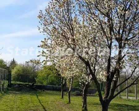 Prodaja, kuća, 134m², Sremski Karlovci, Novi Sad - image 7