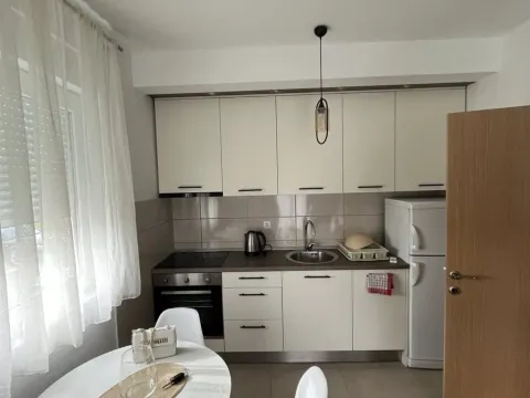 Rent, one bedroom apartment, 35m², Zabjelo, Podgorica - image 2