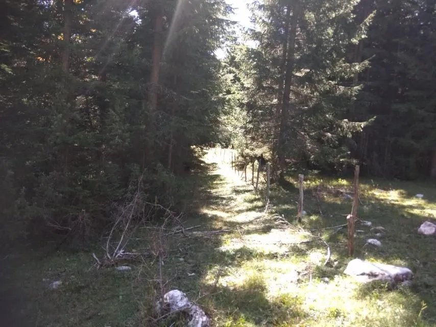 Prodaja, plac, 17803m², Žabljak, Crna Gora