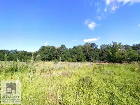 Prodaja, plac, 1400m², Murgaš, Ub - image 3