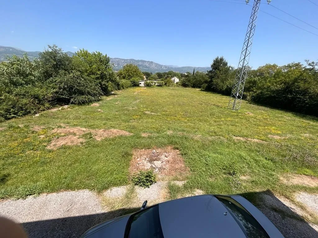 Prostran zeleni plac okružen drvećem pod vedrim nebom.