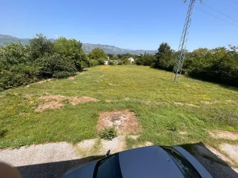 Prostran zeleni plac okružen drvećem pod vedrim nebom. - image 3