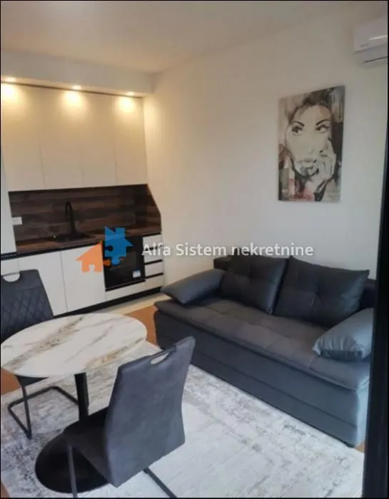 Izdavanje, jednosoban stan, 33m², Savski Venac, Beograd