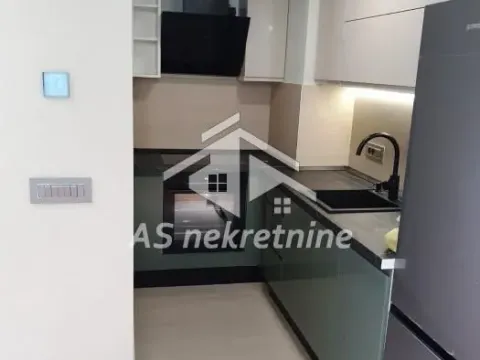 Izdavanje, dvosoban stan, 47m², Novi Beograd Blok 65, Novi Beograd Sve Podlokacije - image 4