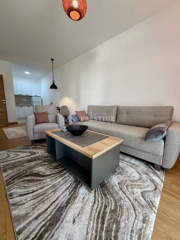 Rent, one bedroom apartment, 46m², City Kvart, Podgorica