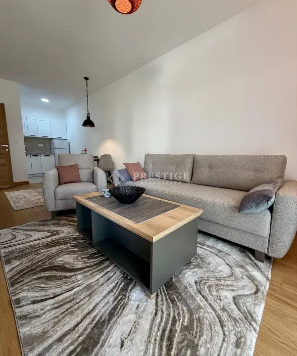 Rent, one bedroom apartment, 46m², City Kvart, Podgorica