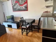 Izdavanje, jednosoban stan, 47m², Babin Do, Budva - image 2