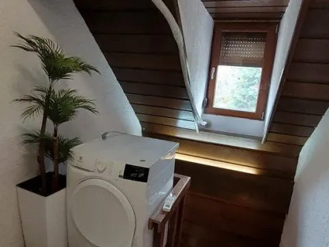 Izdavanje, kuća, 160m², Savski Venac, Beograd - image 11