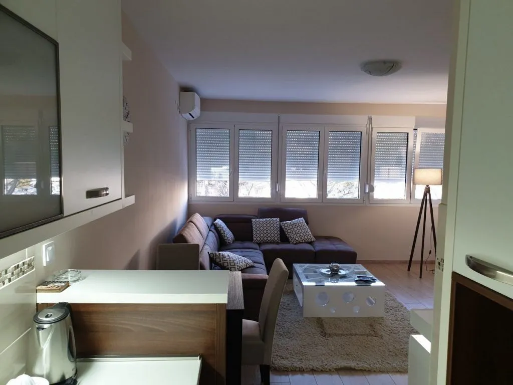 Izdavanje, garsonjera, 30m², Ljubović, Podgorica