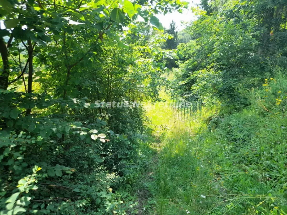 Prodaja, plac, 135m², Banja Vrdnik, Irig
