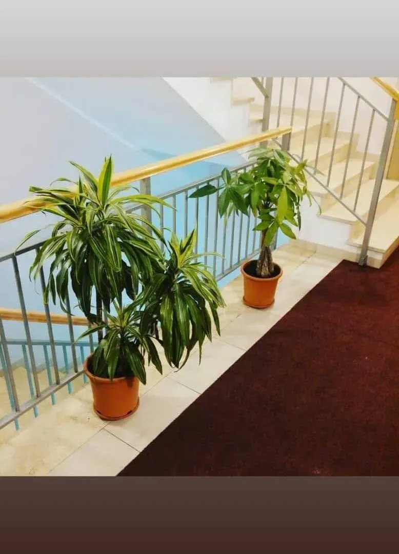 Stan-na-dan, jednosoban stan, 33m², City Kvart, Podgorica