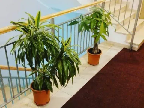 Daily-rent, one bedroom apartment, 33m², City Kvart, Podgorica - image 6