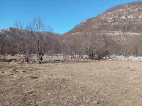 Prodaja, plac, 2000m², Herceg Novi, Crna Gora - image 5