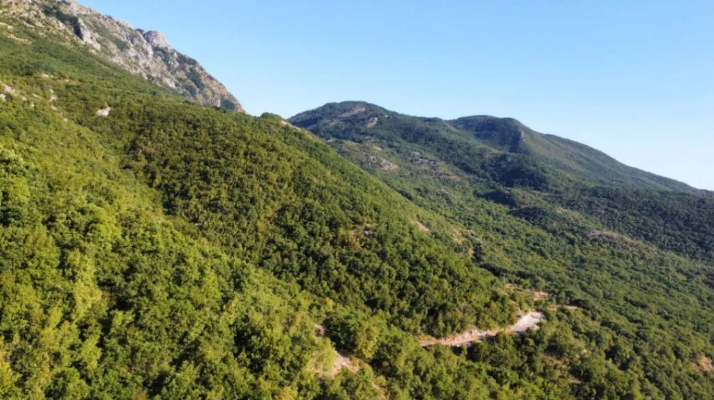 Prodaja, plac, 26417m², Čavori, Kotor