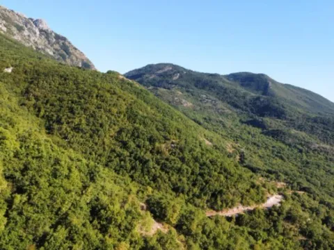 Prodaja, plac, 26417m², Čavori, Kotor - image 3