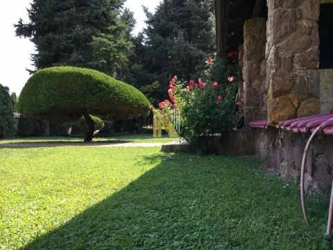 Prodaja, kuća, 196m², Vrbas, Novi Sad - image 3