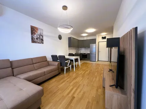Rent, one bedroom apartment, 45m², Stari Aerodrom, Podgorica - image 2
