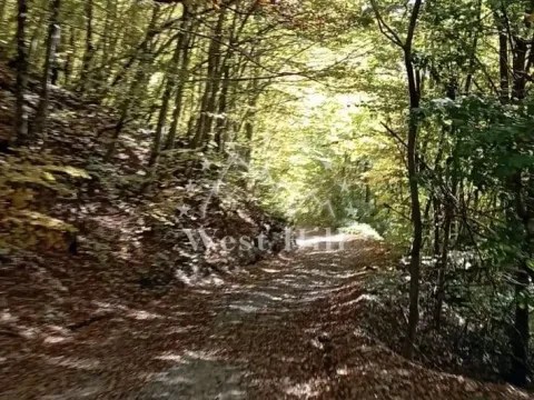 Prodaja, plac, 64000m², Kolašin, Crna Gora - image 1