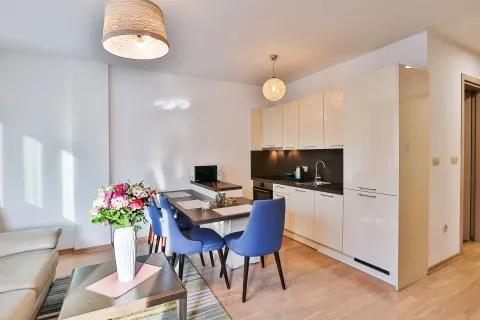 Izdavanje, jednosoban stan, 47m², Budva okolina, Budva - image 2